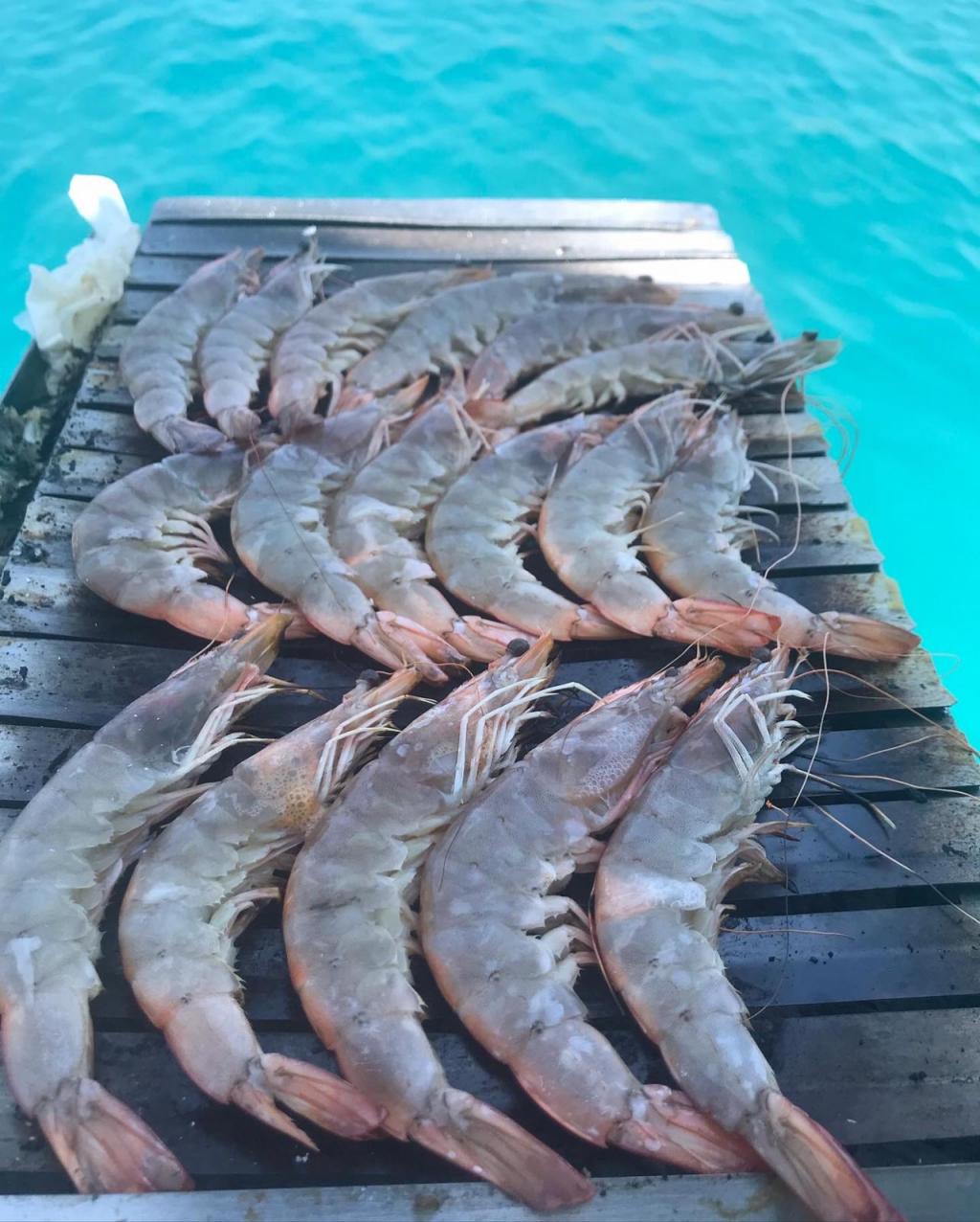 Kekova Tekne Turu 58